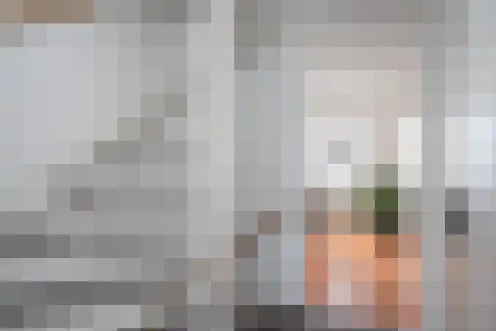 Zandoogje 1 Sneek thumbnail 29