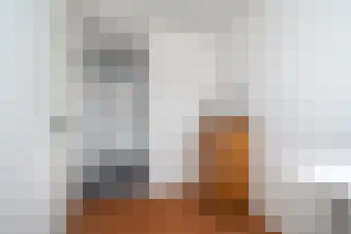 Zandoogje 1 Sneek thumbnail 31