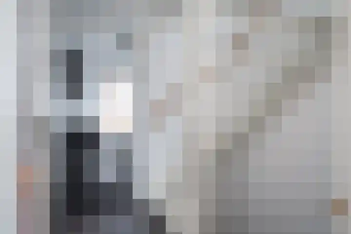 Zandoogje 1 Sneek thumbnail 32
