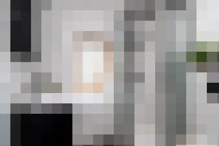 Zandoogje 1 Sneek thumbnail 33