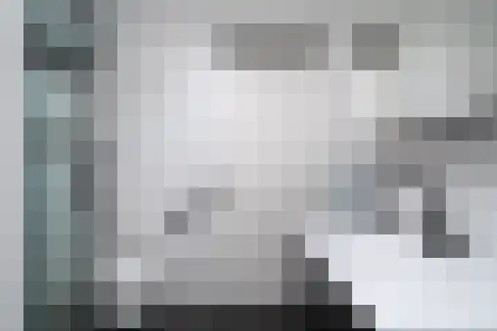Zandoogje 1 Sneek thumbnail 34