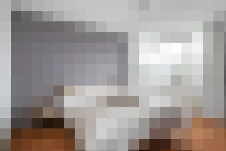 Zandoogje 1 Sneek thumbnail 36