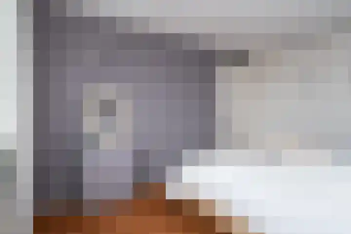 Zandoogje 1 Sneek thumbnail 37