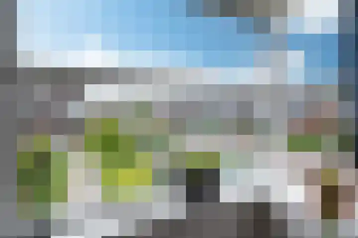 Zandoogje 1 Sneek thumbnail 38