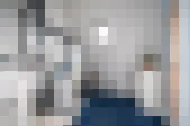 Zandoogje 1 Sneek thumbnail 39