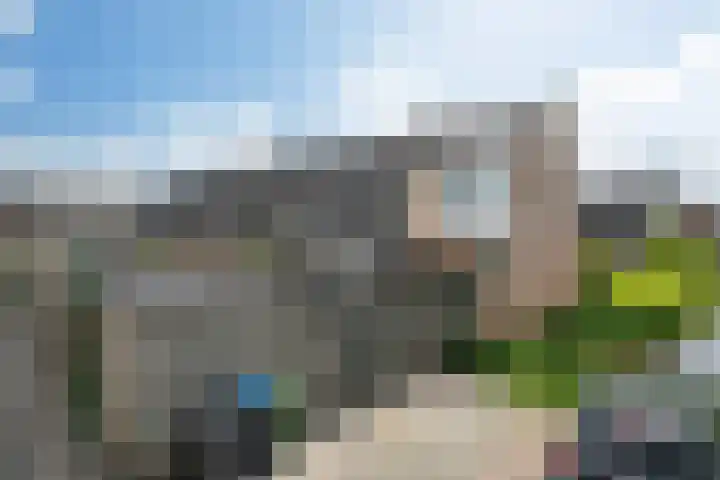 Zandoogje 1 Sneek thumbnail 4