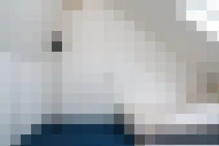 Zandoogje 1 Sneek thumbnail 41