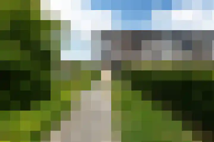 Zandoogje 1 Sneek thumbnail 45