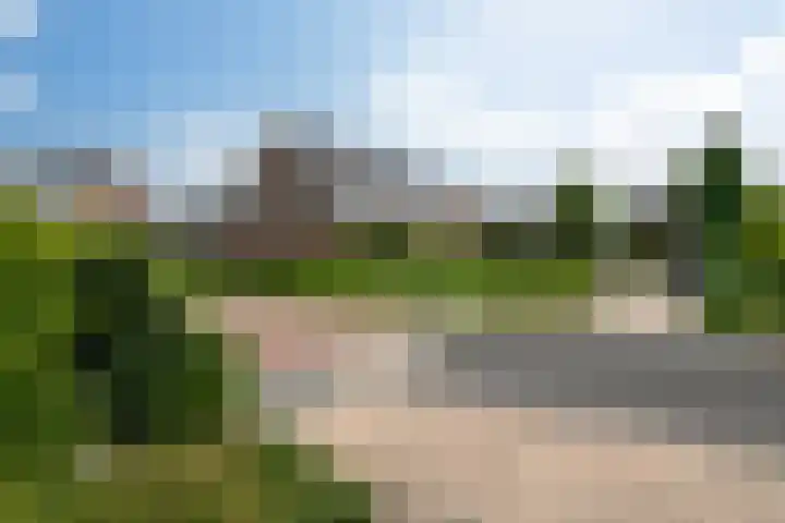 Zandoogje 1 Sneek thumbnail 47