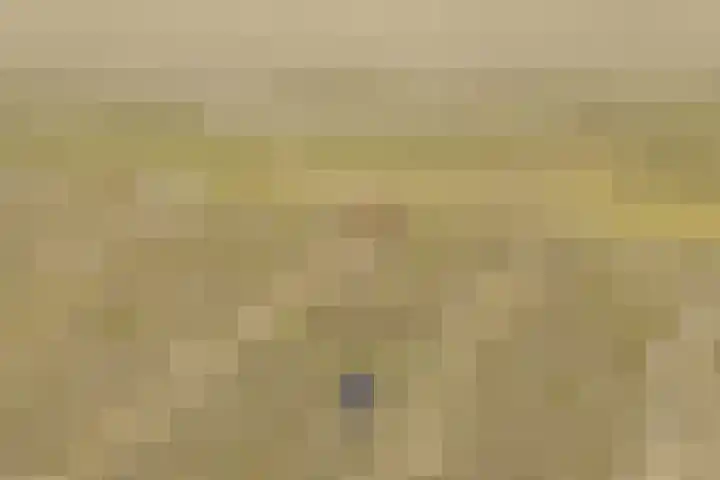 Zandoogje 1 Sneek thumbnail 48