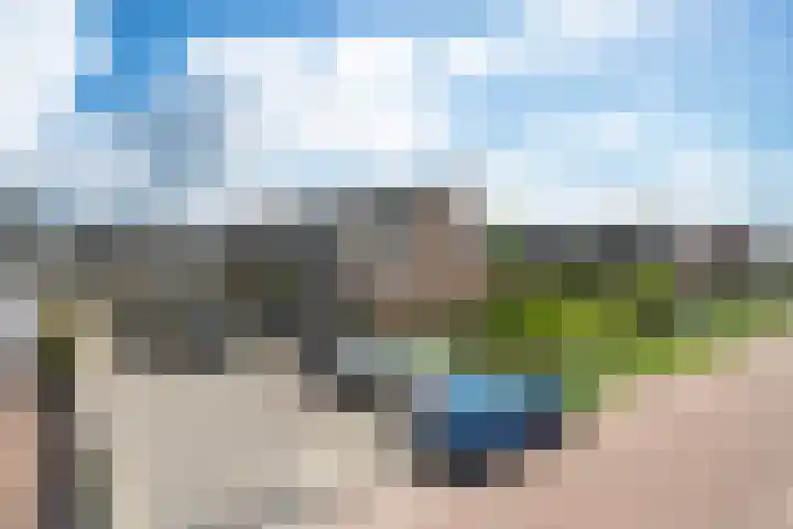 Zandoogje 1 Sneek thumbnail 51