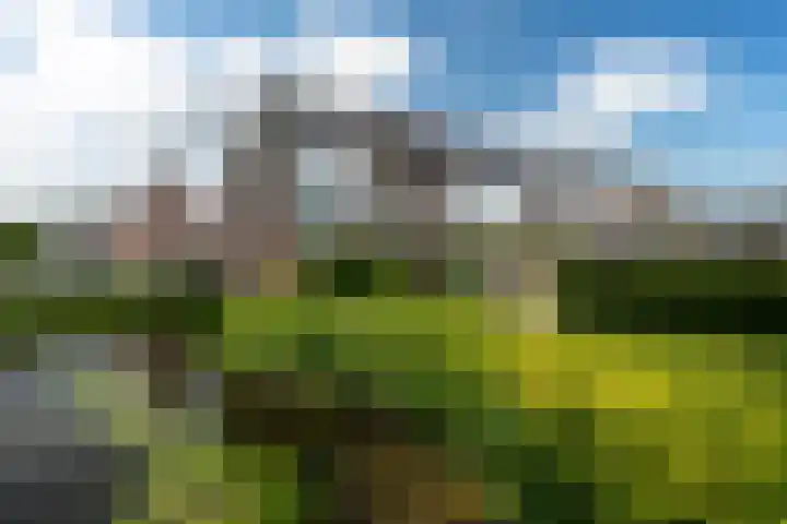 Zandoogje 1 Sneek thumbnail 52