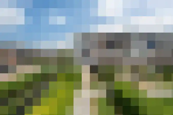 Zandoogje 1 Sneek thumbnail 53