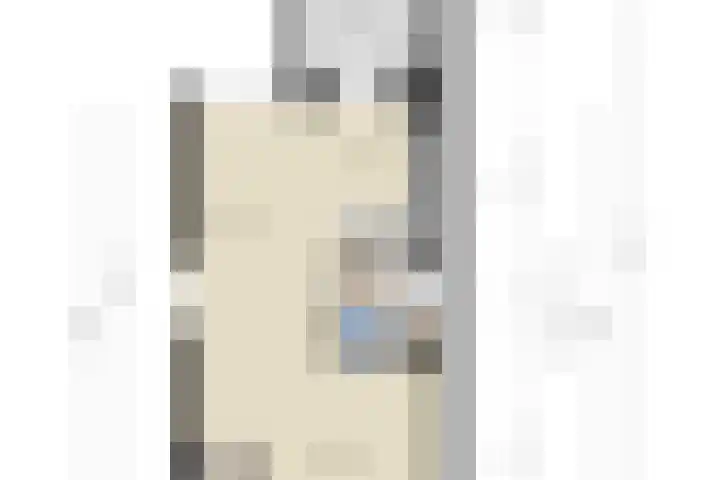 Zandoogje 1 Sneek thumbnail 57