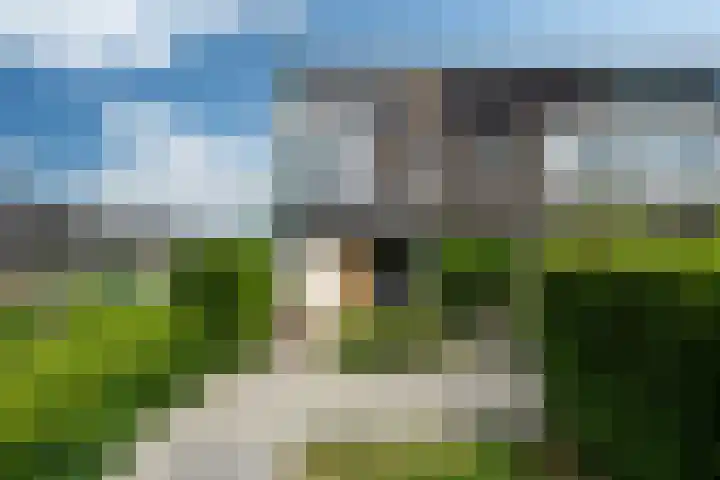 Zandoogje 1 Sneek thumbnail 8