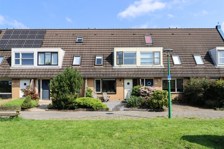 Zandoogje 11 in Sneek photo