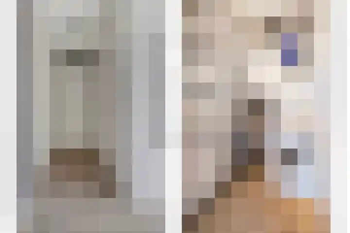 Zandoogje 16 Nijkerk thumbnail 10