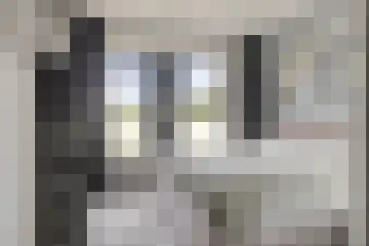 Zandoogje 16 Nijkerk thumbnail 11