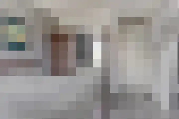 Zandoogje 16 Nijkerk thumbnail 12