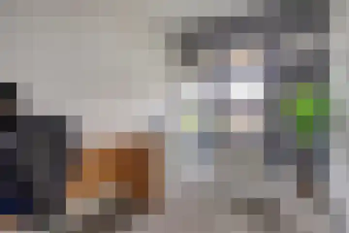 Zandoogje 16 Nijkerk thumbnail 13