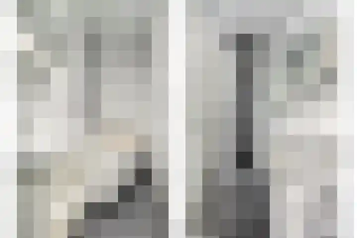 Zandoogje 16 Nijkerk thumbnail 15