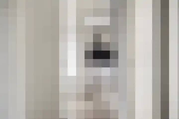 Zandoogje 16 Nijkerk thumbnail 16