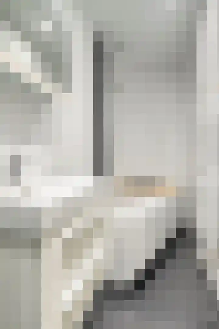 Zandoogje 16 Nijkerk thumbnail 18