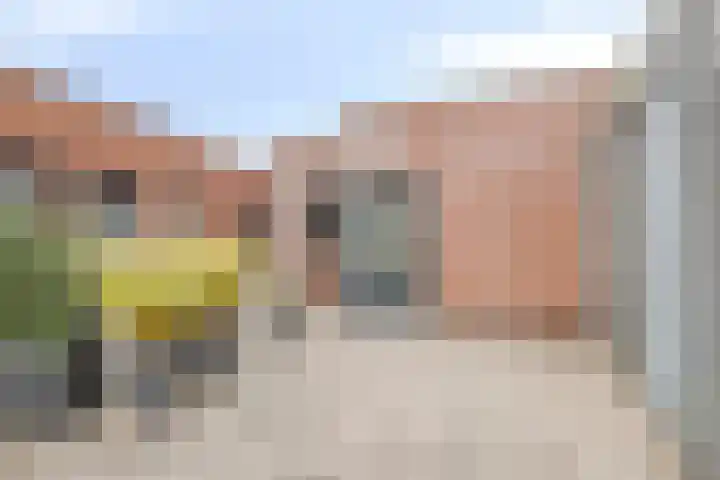 Zandoogje 16 Nijkerk foto 2