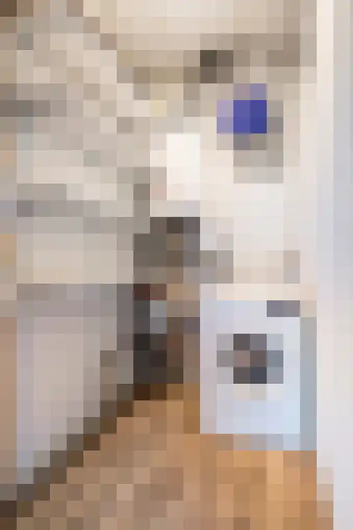 Zandoogje 16 Nijkerk thumbnail 20