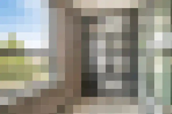 Zandoogje 16 Nijkerk thumbnail 21