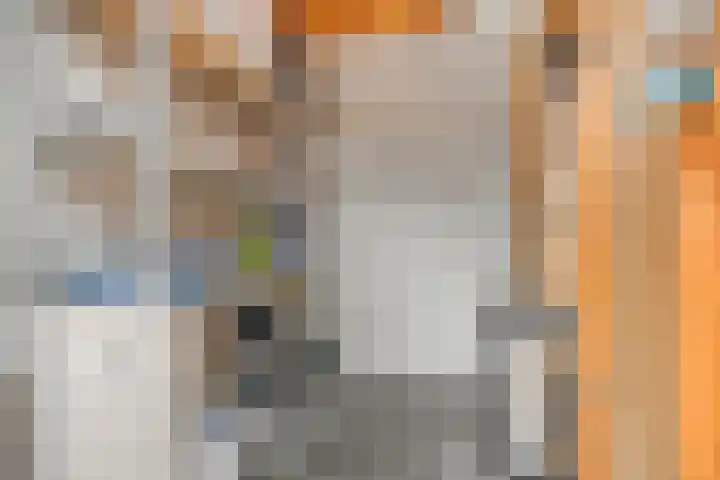 Zandoogje 16 Nijkerk thumbnail 22