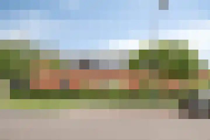 Zandoogje 16 Nijkerk thumbnail 23