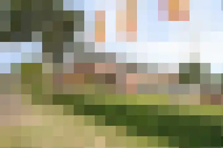 Zandoogje 16 Nijkerk thumbnail 24