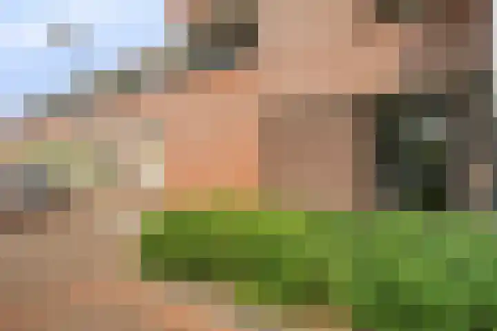 Zandoogje 16 Nijkerk thumbnail 25