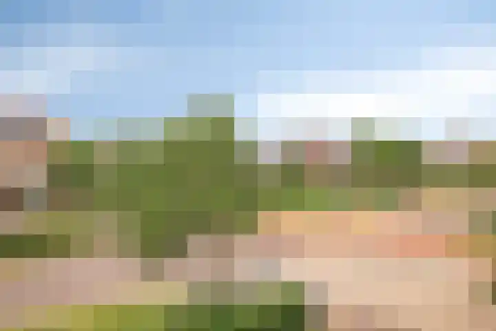 Zandoogje 16 Nijkerk thumbnail 26