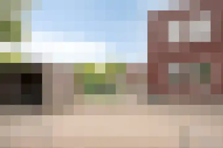 Zandoogje 16 Nijkerk thumbnail 29