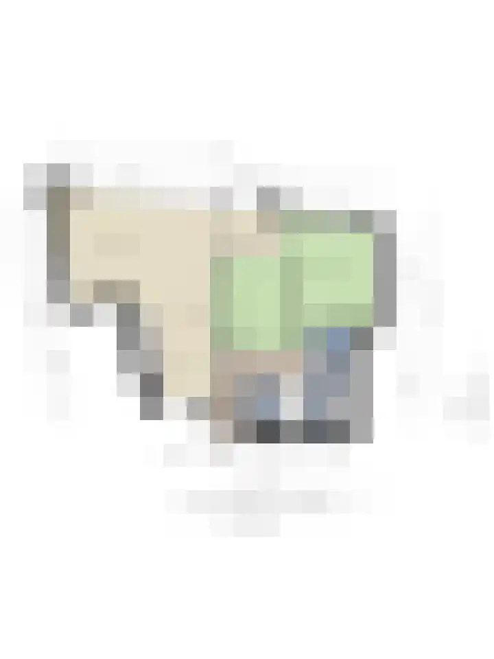 Zandoogje 16 Nijkerk thumbnail 30