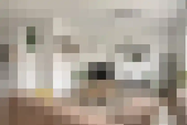Zandoogje 16 Nijkerk thumbnail 32