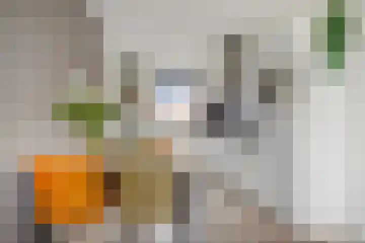 Zandoogje 16 Nijkerk thumbnail 4
