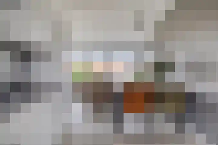 Zandoogje 16 Nijkerk thumbnail 5