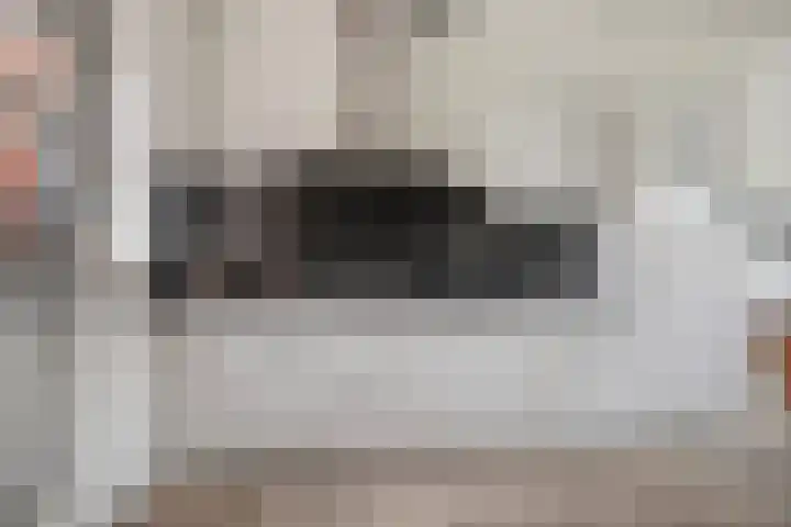 Zandoogje 16 Nijkerk thumbnail 6