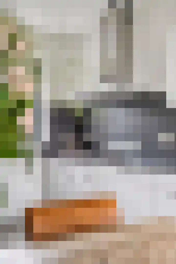 Zandoogje 16 Nijkerk thumbnail 7