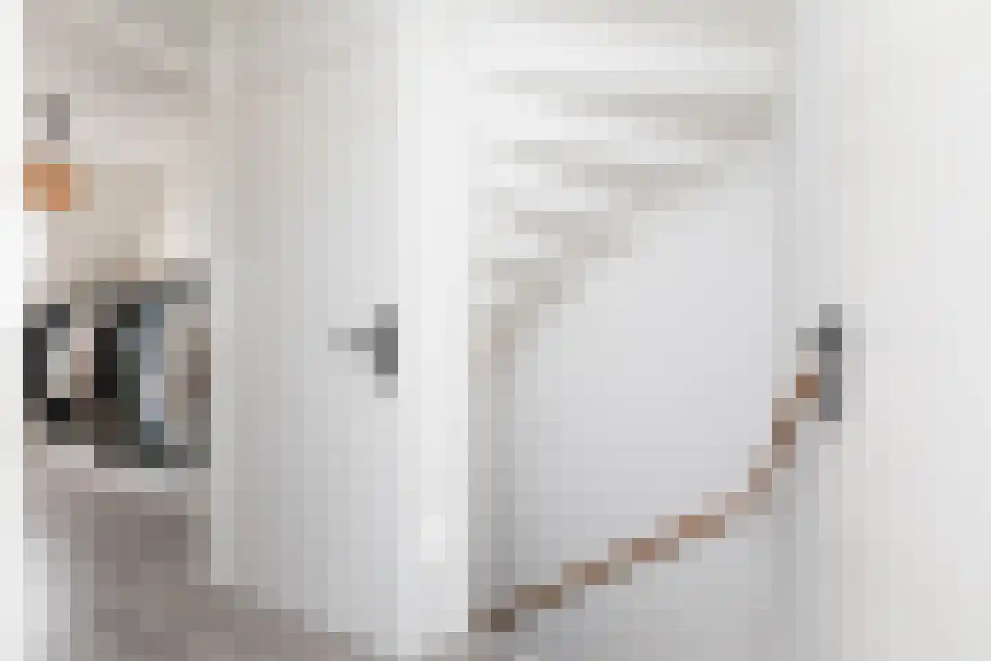 Zandoogje 16 Sneek thumbnail 15