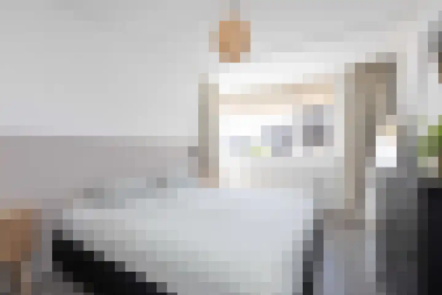 Zandoogje 16 Sneek thumbnail 18