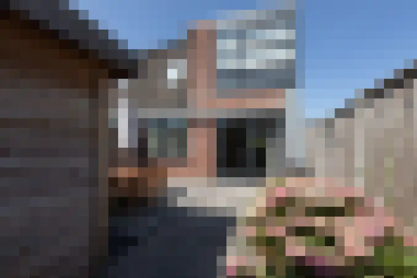 Zandoogje 16 Sneek thumbnail 30