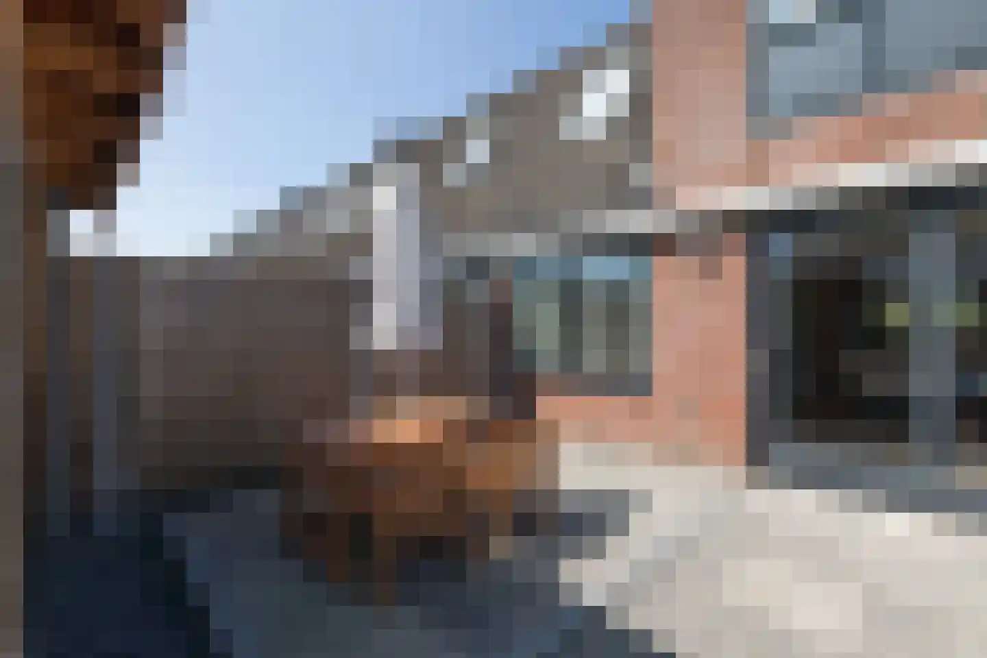 Zandoogje 16 Sneek thumbnail 31