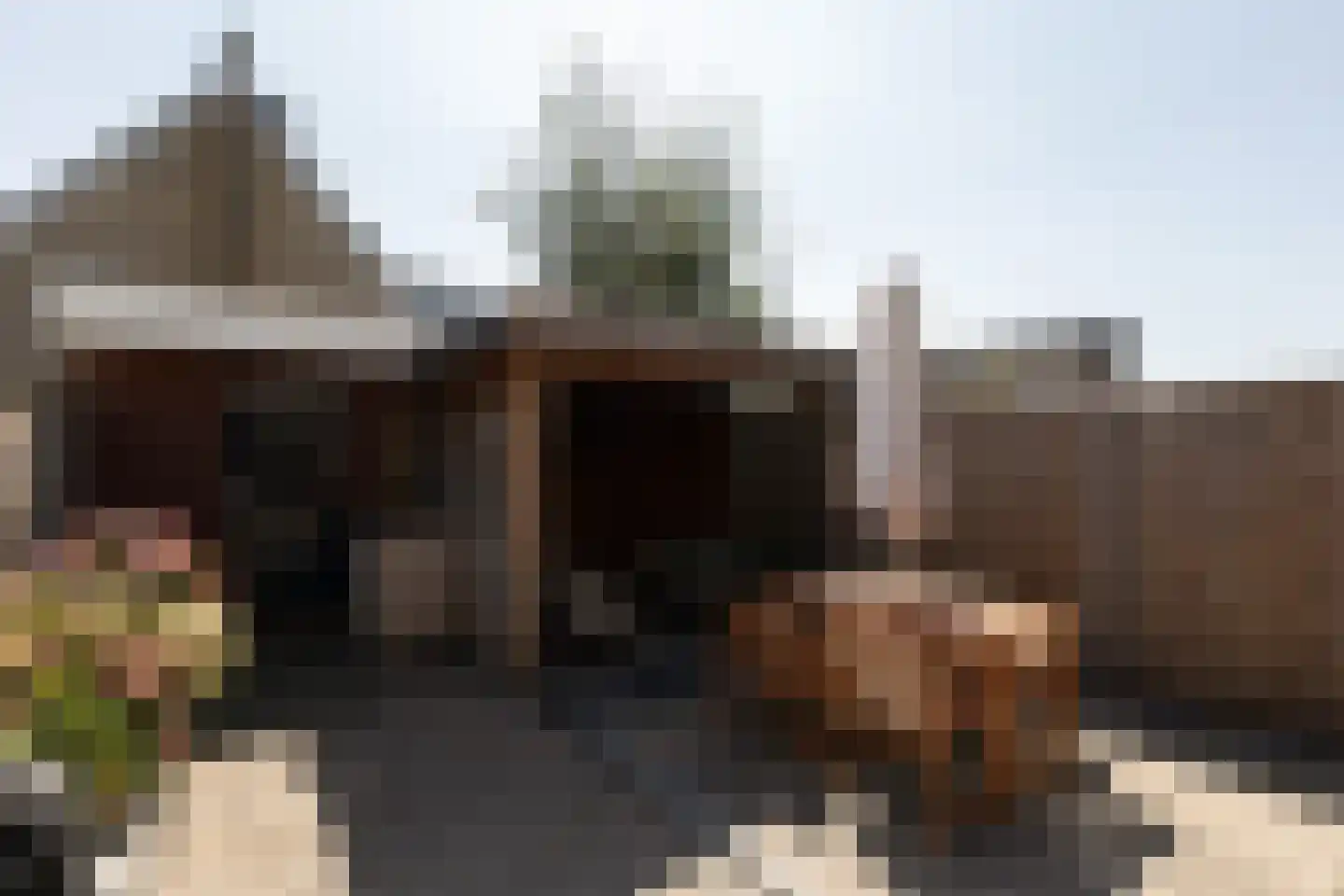 Zandoogje 16 Sneek thumbnail 32