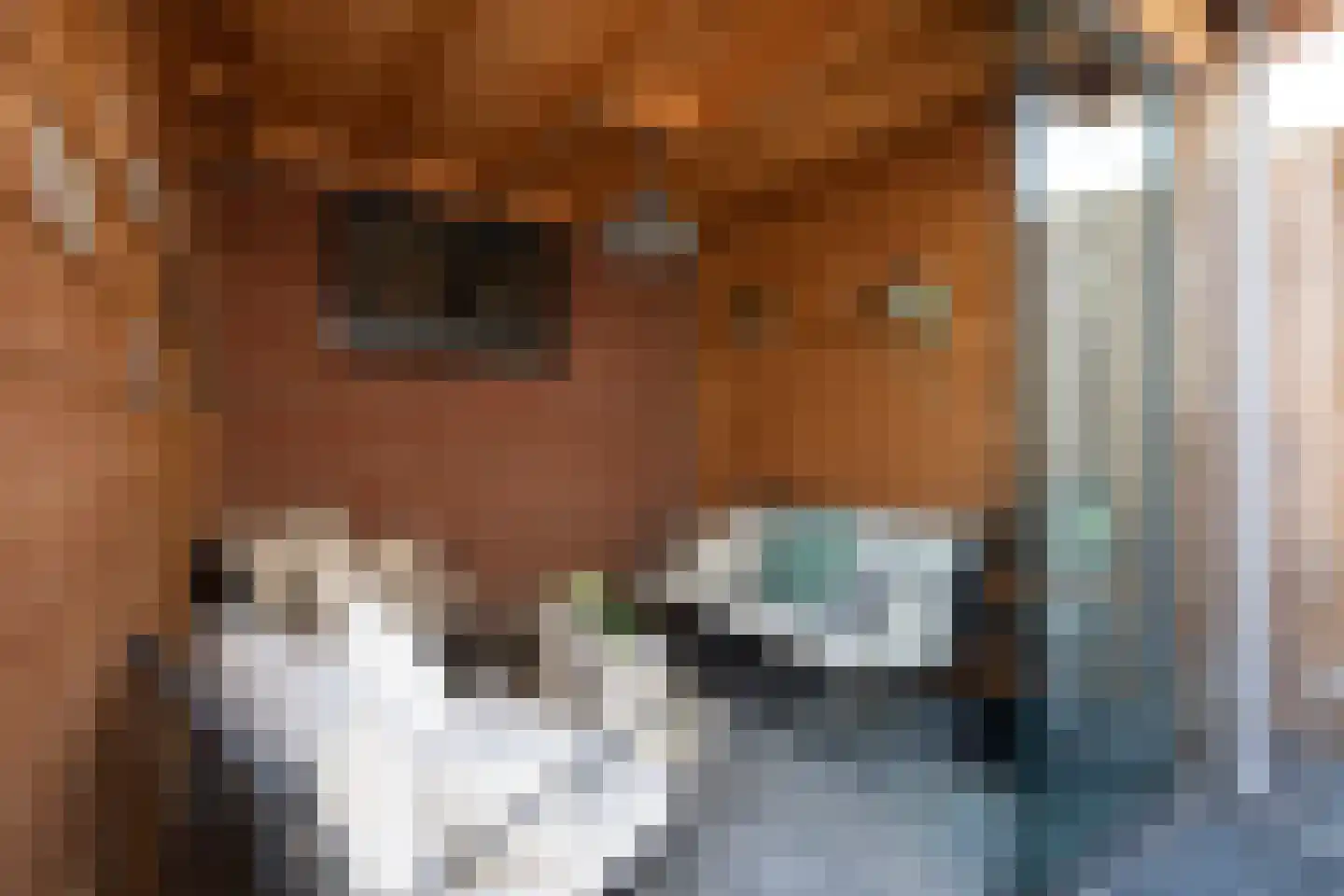 Zandoogje 16 Sneek thumbnail 33