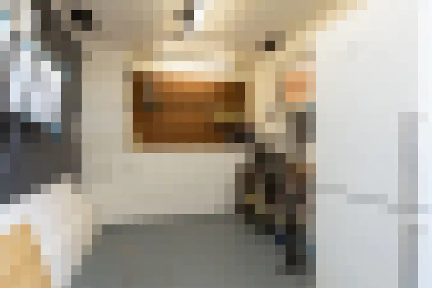 Zandoogje 16 Sneek thumbnail 35