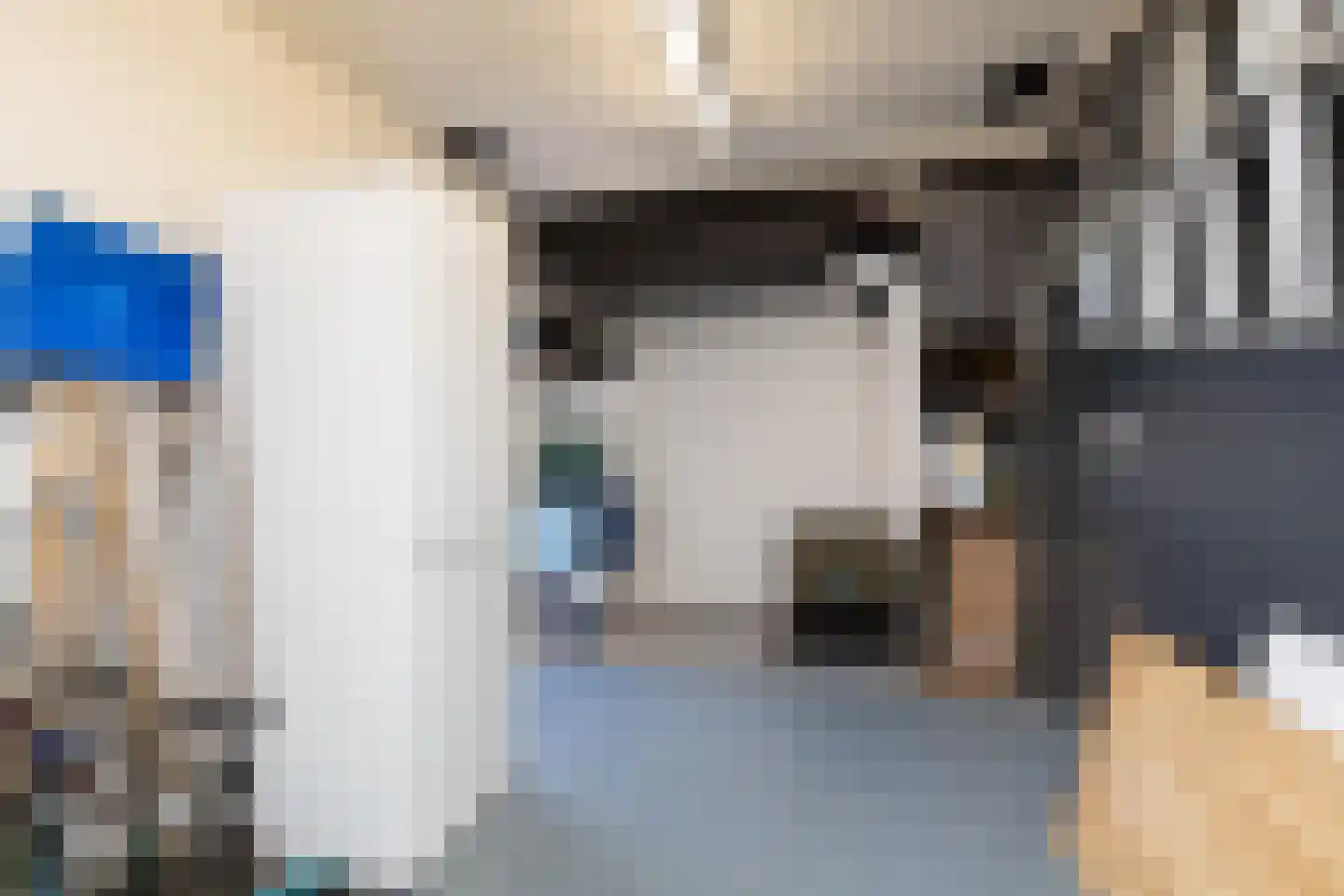 Zandoogje 16 Sneek thumbnail 37